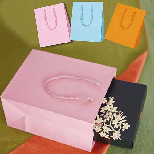 マットな塗工タイプで水色の手提げ紙袋