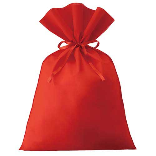 ソフトバッグベーシック2穴リボン巾着 S9 厚 赤画像