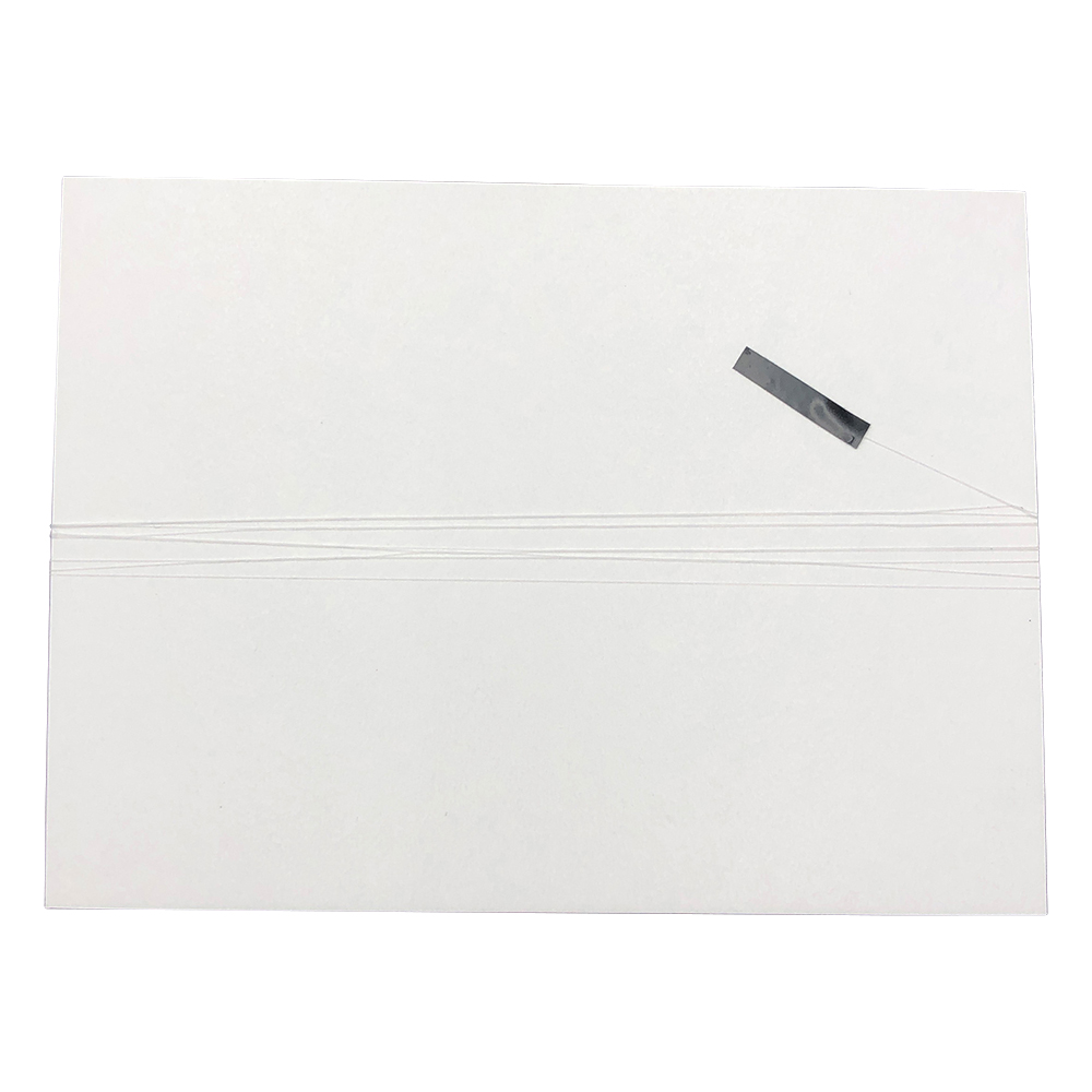 シリコンマイクロチューブ　φ0.1×φ0.2mm　2m×5本画像