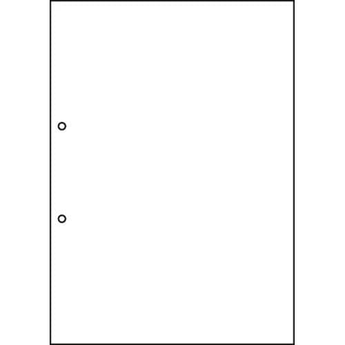 マルチプリンタ帳票　Ａ４　白紙　２穴１００枚画像