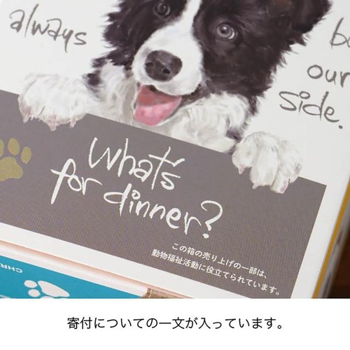 贈答箱 CHRA-GS2 チャリティーアニマルアソートギフトボックス-S/犬(20枚) ヘッズ 正面から見たカラフルなギフトボックス、犬のイラストがデザインされている