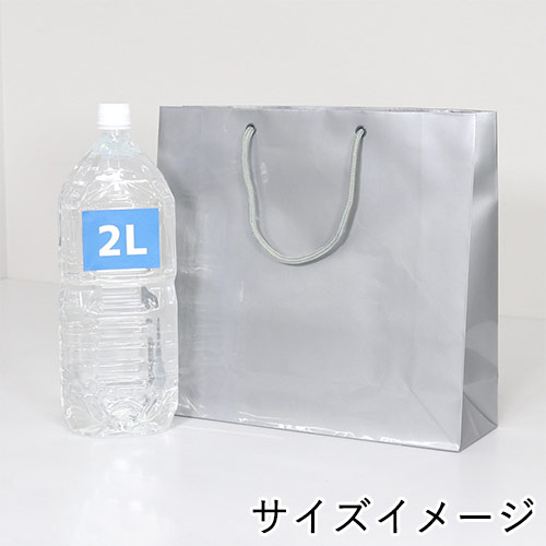 ツヤありPP加工！シルバーで持ち手紐付きの高級ギフトバッグ