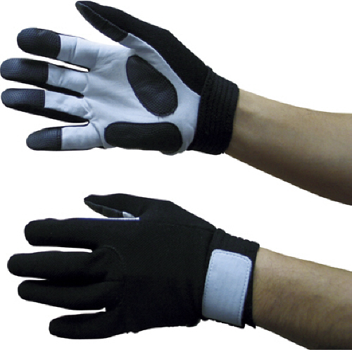 ﾎｰｹﾝ ﾄﾞｯﾄｻｲﾊﾞｰ 1双画像