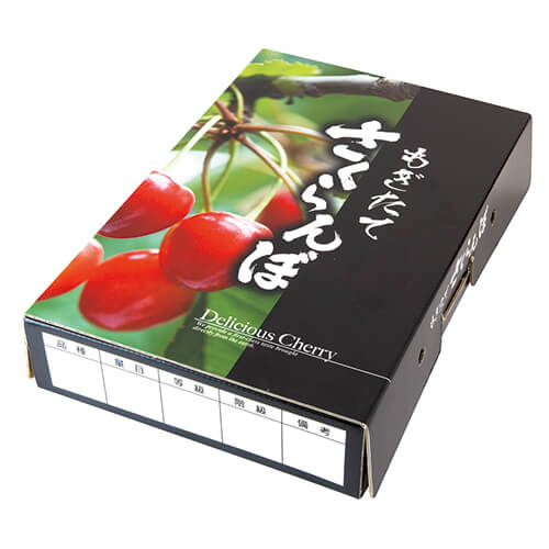 もぎたてさくらんぼ浅型　ＢＫ画像