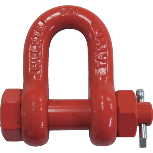 ｽｰﾊﾟｰｱﾛｲｼｬｯｸﾙ 1個画像