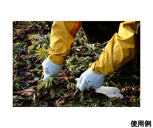 [L] 手袋(ポリウレタンコーティング) 手のひら側にポリウレタンコーティングが施された手袋の全体像