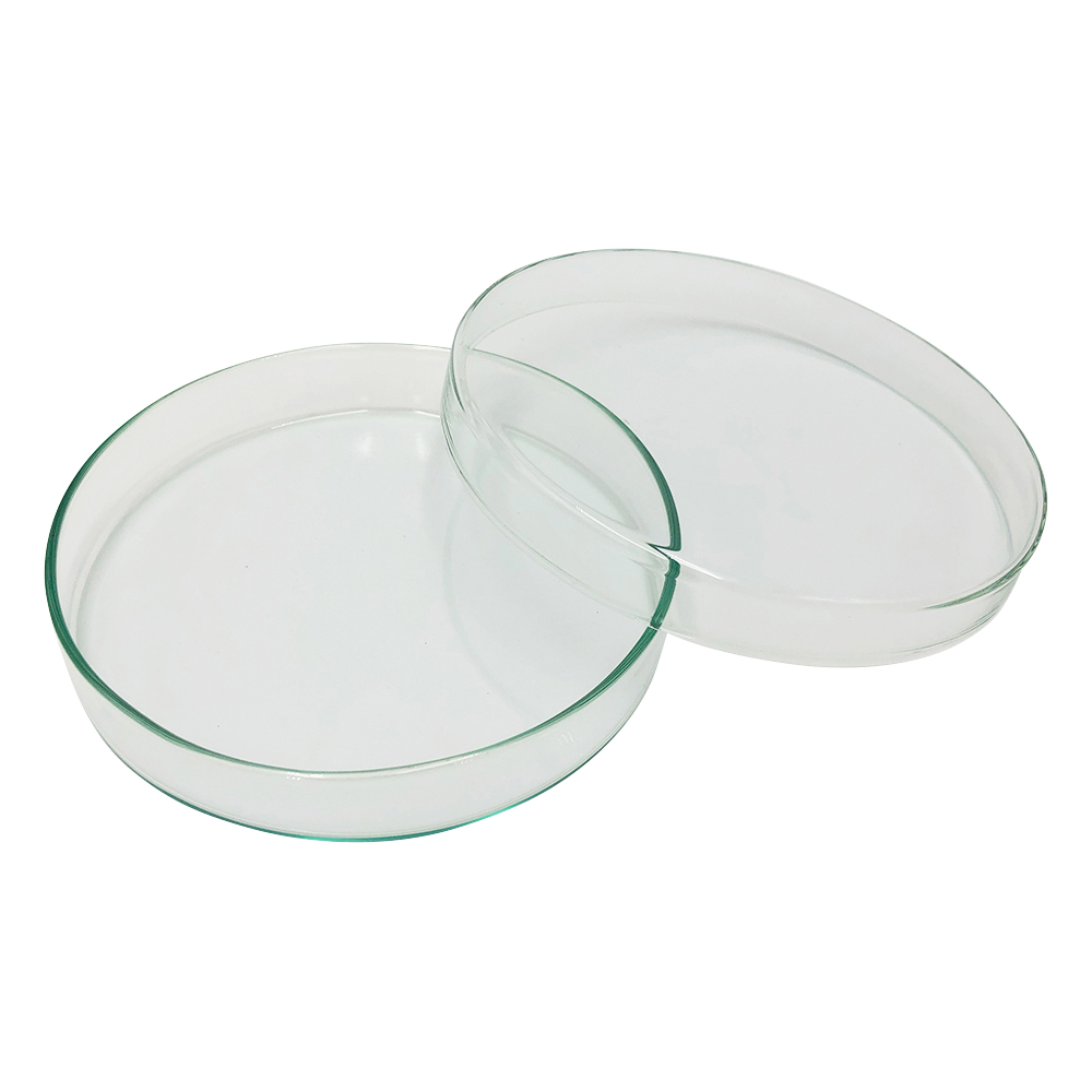 スタンダードシャーレ　φ120×20mm