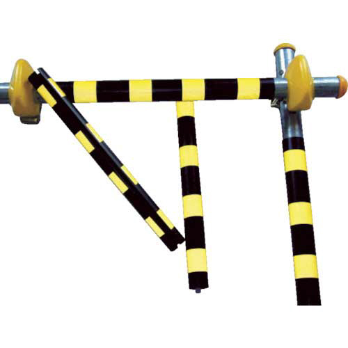 ﾄﾗﾋﾟｶ 1本画像