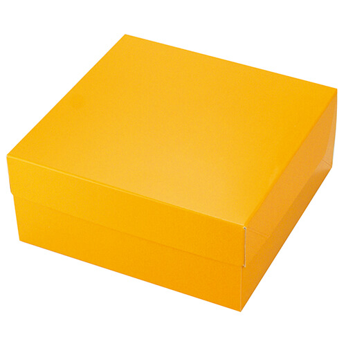 カラースクエア１５０　オレンジ画像