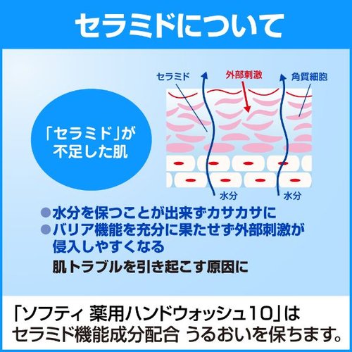 ハンドソープ ソフティ 薬用ハンドウォッシュ10 1L 花王 ボトルの前面が正面を向き、明るいデザインのラベルが見える状態