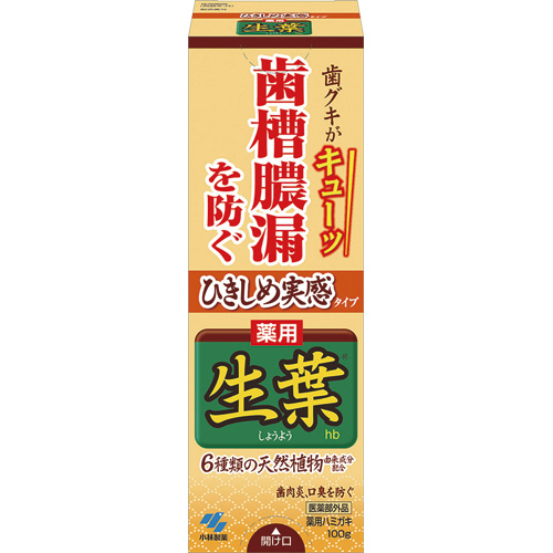 生葉 ひきしめ実感ﾀｲﾌﾟ 100g 1個画像