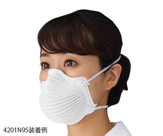 N95マスク 4200シリーズ S 10枚入画像