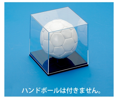 サインボールケース
