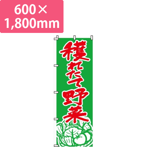 穫れたて野菜画像