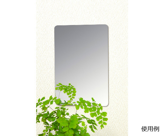 セーフティーミラー