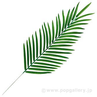 パームスプレー