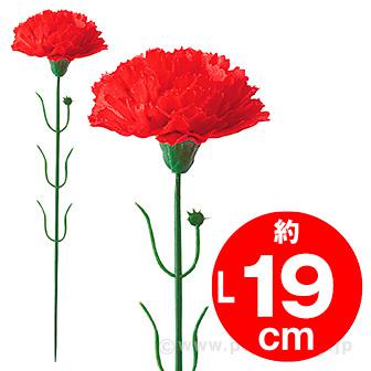 カーネーション(小)画像