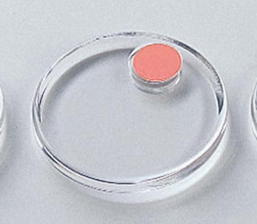 強力カラーマグネットクリヤー４０ｍｍ２個入桃