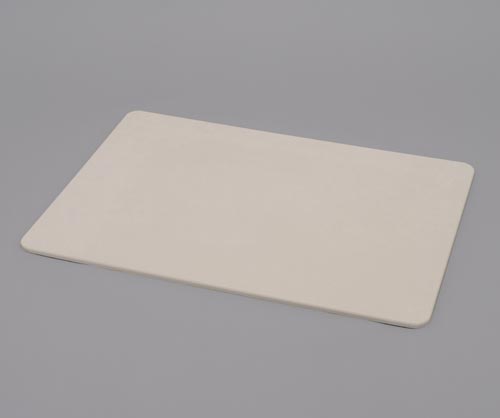 速乾快適バスマットＬＬ画像