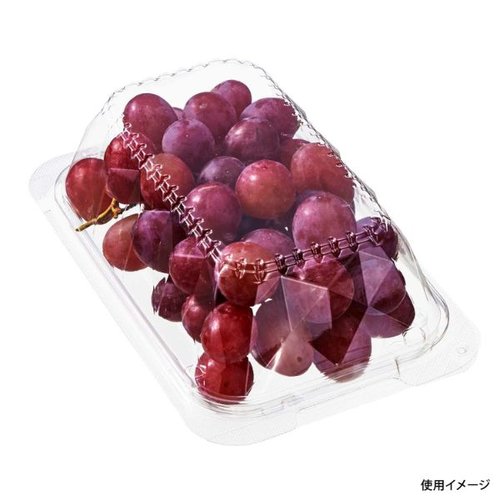 フードパック C-APG SDL-3 中央化学 透明なパッケージに収められた商品の上部が見える状態