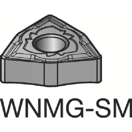 T-Max P 旋削用ﾈｶﾞ･ﾁｯﾌﾟ 1個画像