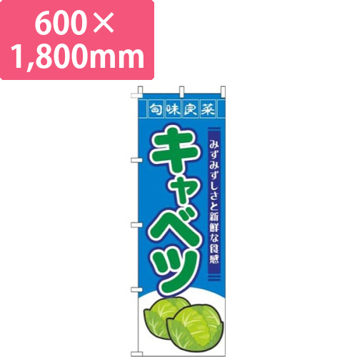キャベツ旬味良菜青画像
