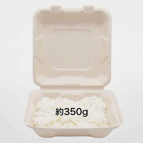 サンドイッチ容器 新BBランチ 200-200 パックスタイル 透明なパッケージに収められたサンドイッチの縦向き状態