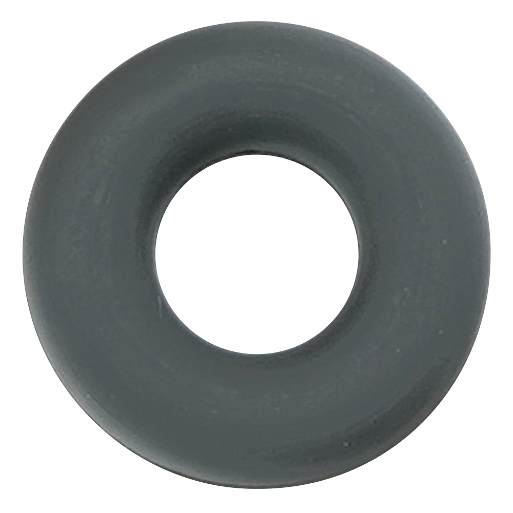 フッ素ゴムOリング（フロロプラス（TM））