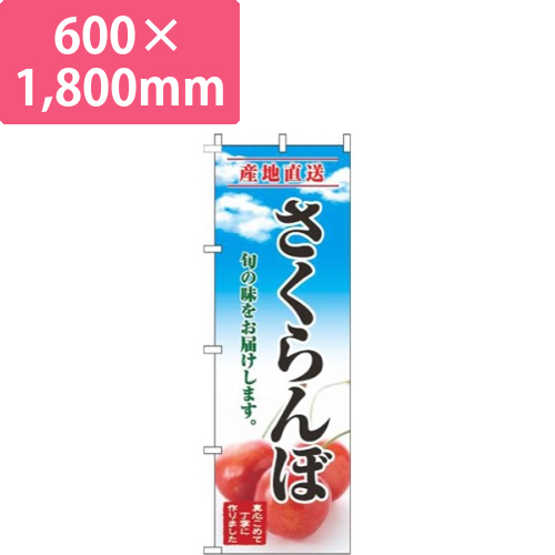さくらんぼ青空明画像