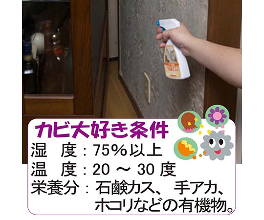 カベ紙・家具の裏側用カビ止め　250mL 上部が白いスプレーボトルが立てて置かれ、ラベルには使用説明が記載されている様子