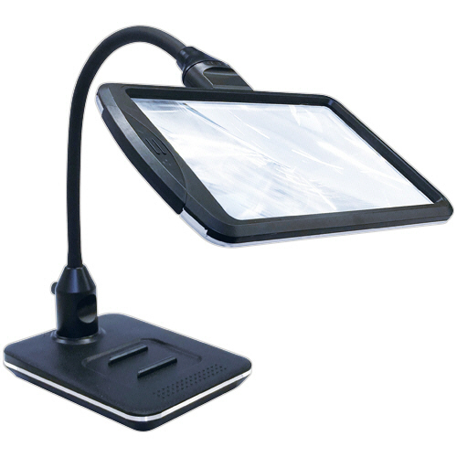 LEDｽﾀﾝﾄﾞﾗｲﾄﾙｰﾍﾟ 1台