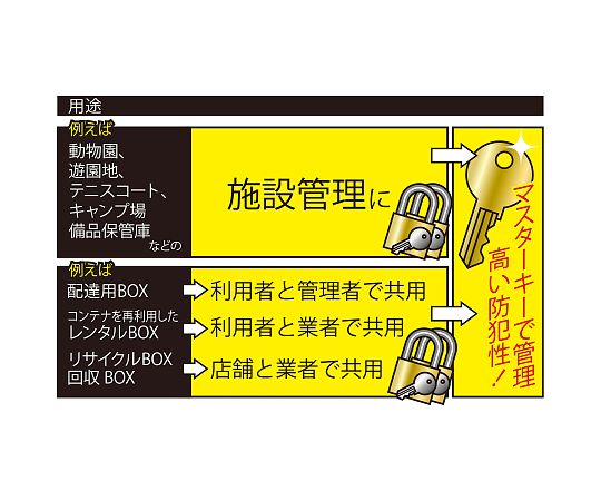 マスターキー付き南京錠 1セット（2個入） 鍵穴が見える状態の両面が並んだ南京錠