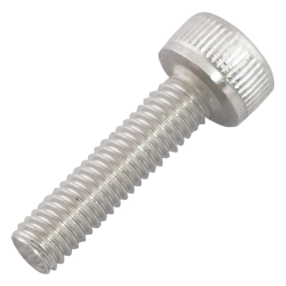 六角穴付きボルト　ステンレス　100本入