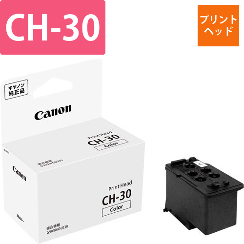 純正プリントヘッド　CH-30画像