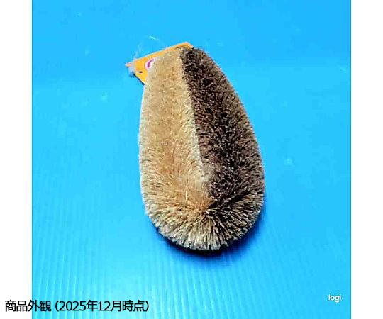 亀の子ハーフ.ハード 製品が横向きに置かれ、手に持った状態で表面が見えた様子