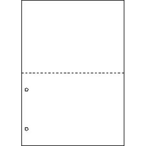 マルチプリンタ帳票　Ａ４　白紙２面２穴　１００枚画像