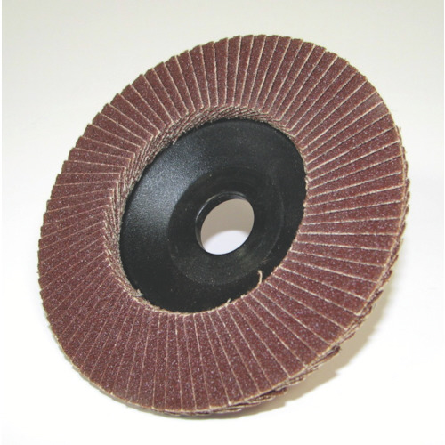 ｽﾊﾟｰｸﾃﾞｨｽｸA120#12 1枚画像