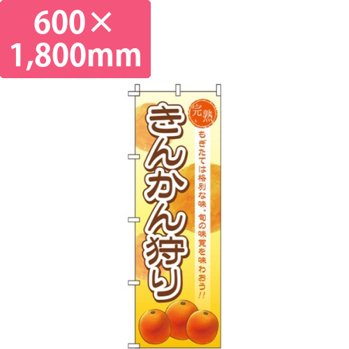 きんかん狩り画像