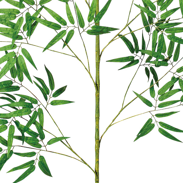 240cm七夕笹画像