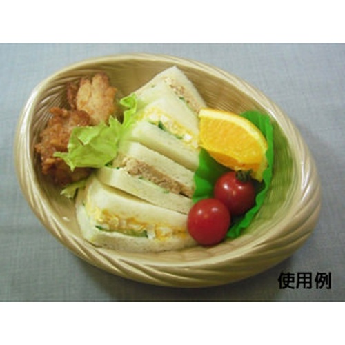 中央化学 軽食容器 CF ザル-21 BR 本体画像