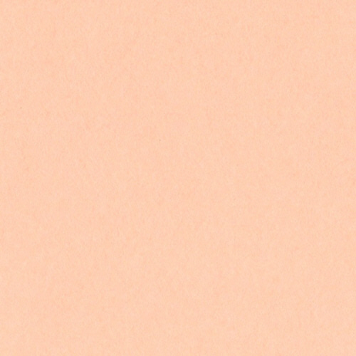 ﾆｭｰｶﾗｰR 四つ切 うすだいだい 1ﾊﾟｯｸ(100枚)画像