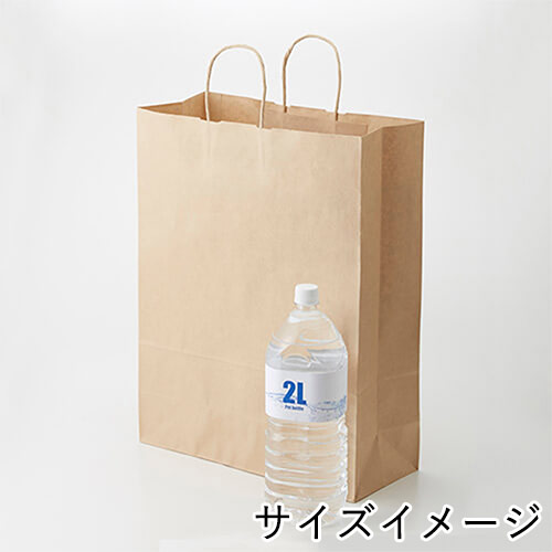 ギフト用や持ち帰りに！同シリーズ最大丈の大型手提げ紙袋