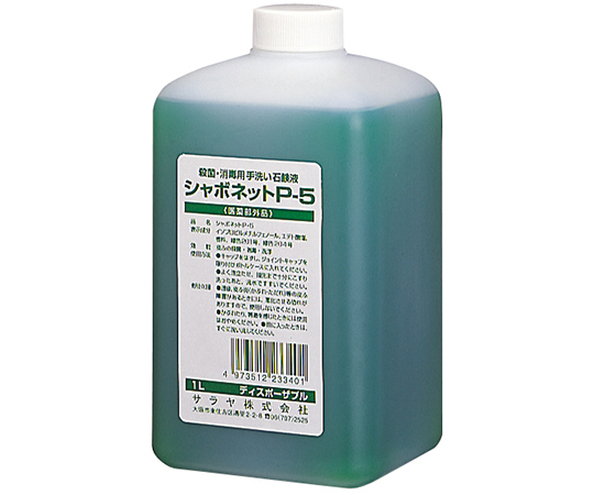 シャボネットP-51L　（D）画像