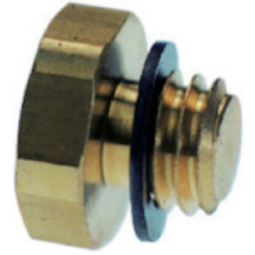 ﾃﾗﾋﾟﾝﾌﾞﾗｲﾝﾄﾞﾌﾟﾗｸﾞ M5×0.8 1ﾊﾟｯｸ(10個)画像