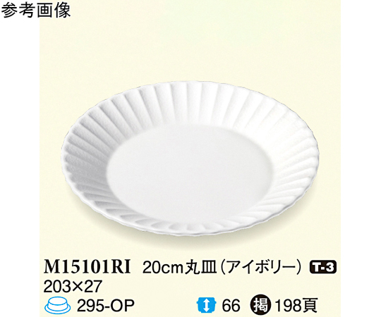 20cm 丸皿 アイボリー 60個入
