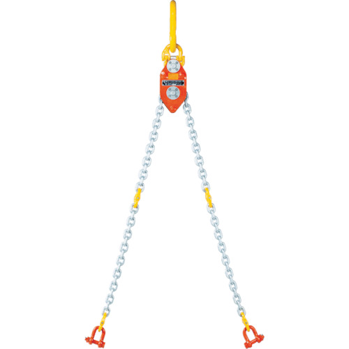 ﾁｪｰﾝｴｺﾗｲｻﾞｰ10ton 1台画像