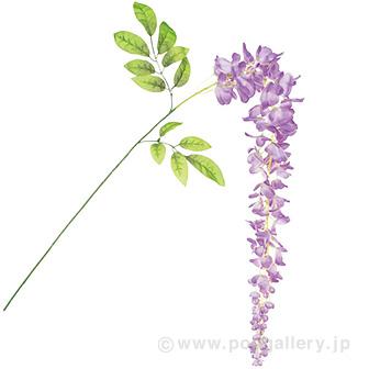 大房藤スプレー（大）ラベンダー画像