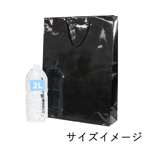 ツヤありPP加工！黒色で持ち手紐付きの高級ギフトバッグ