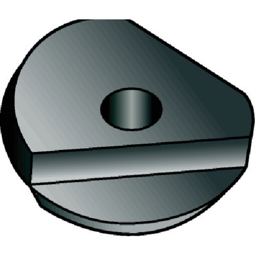 ｺﾛﾐﾙR216Fﾎﾞｰﾙｴﾝﾄﾞﾐﾙ用ﾁｯﾌﾟ P20A 1個画像