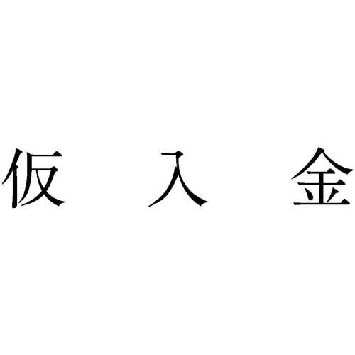 勘定科目印 248 仮入金 1個画像